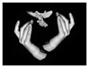 Hands with bird flying away