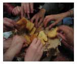 Hands taking food