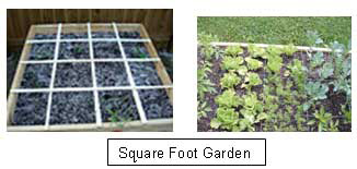 Square Foot Garden