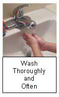 Wash Hands